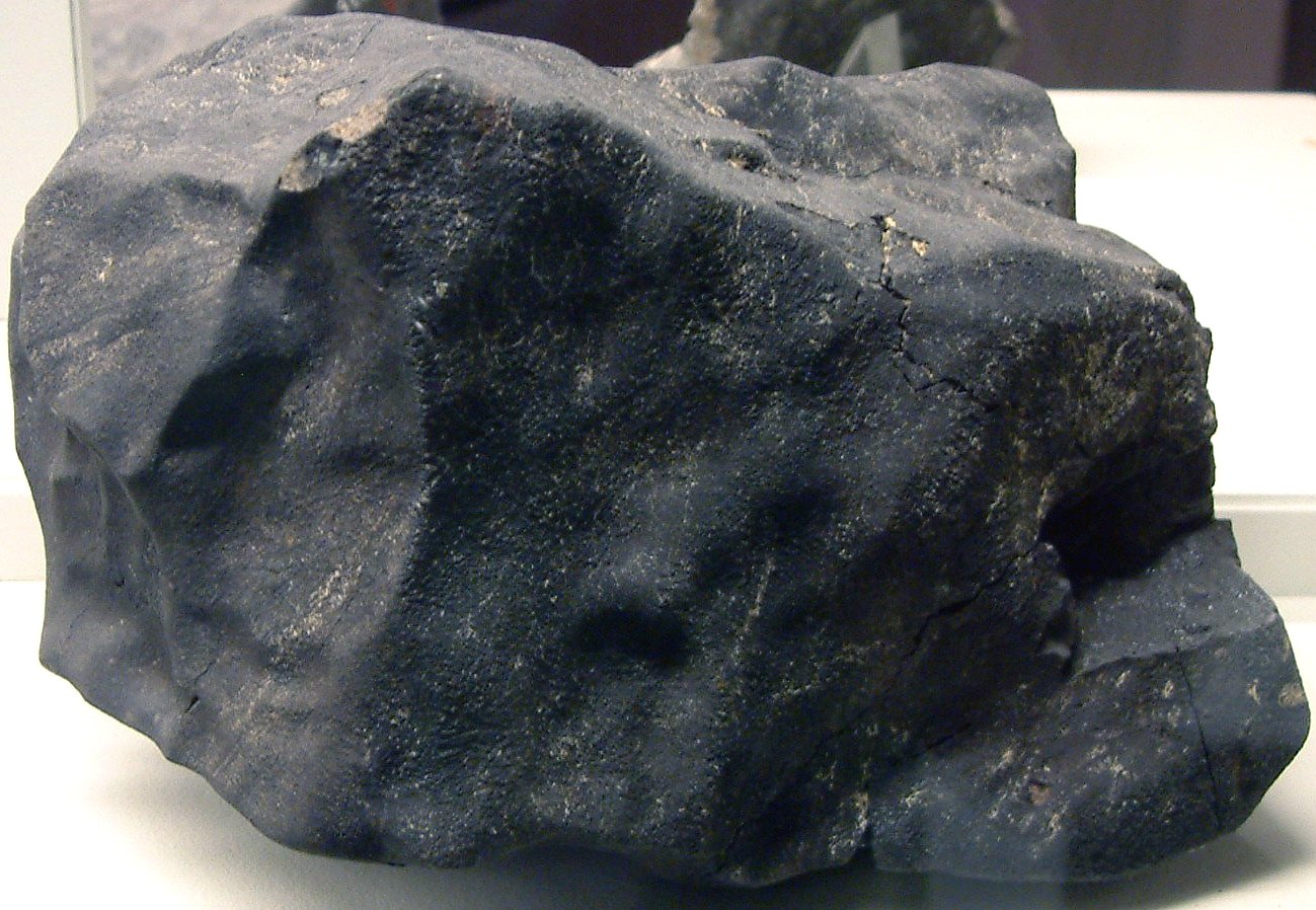 Panspermia and Cross-Contamination (image credits: wikimedia)