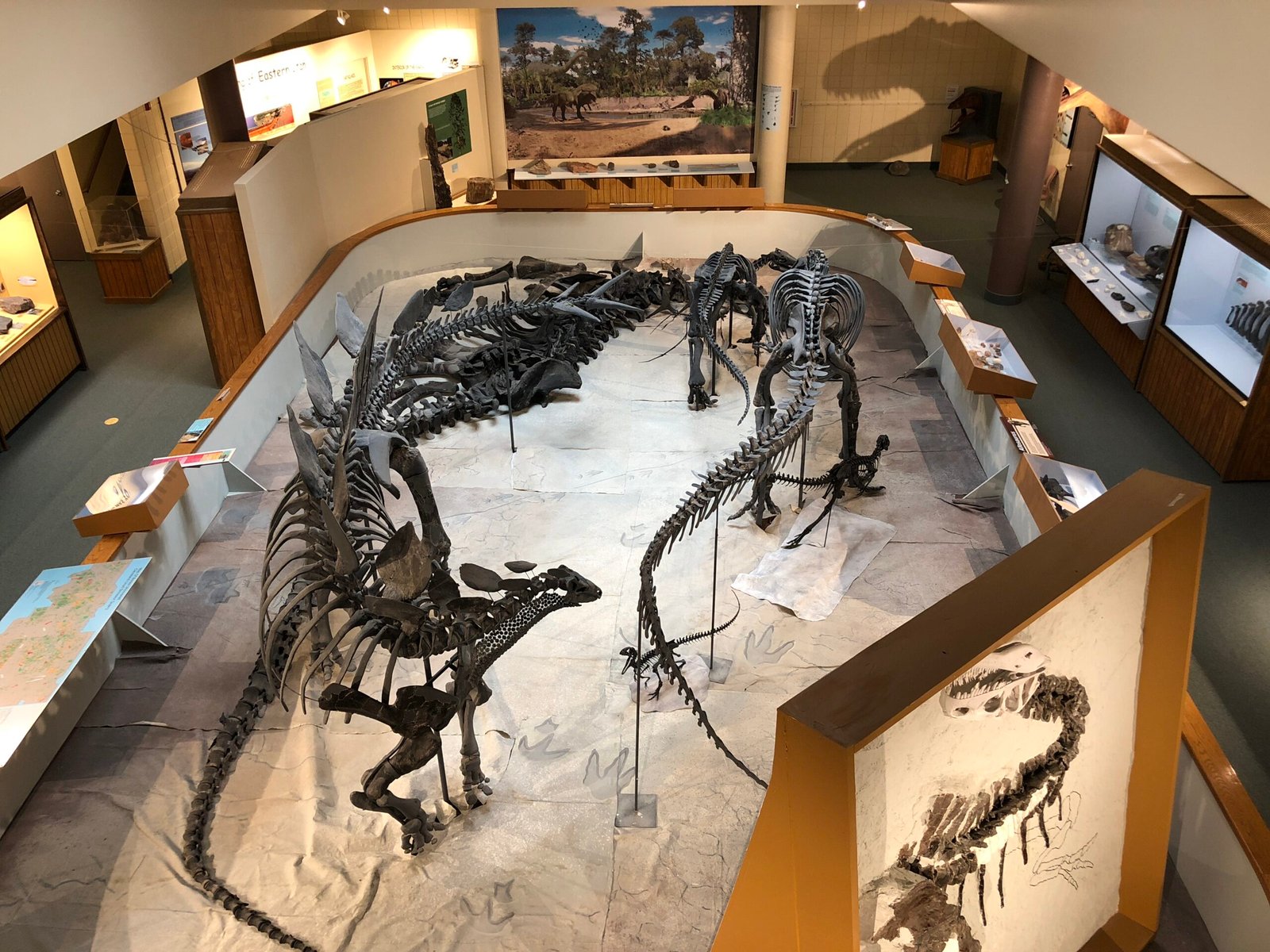 The First Discoveries: Uncovering Prehistoric Giants (image credits: wikimedia)