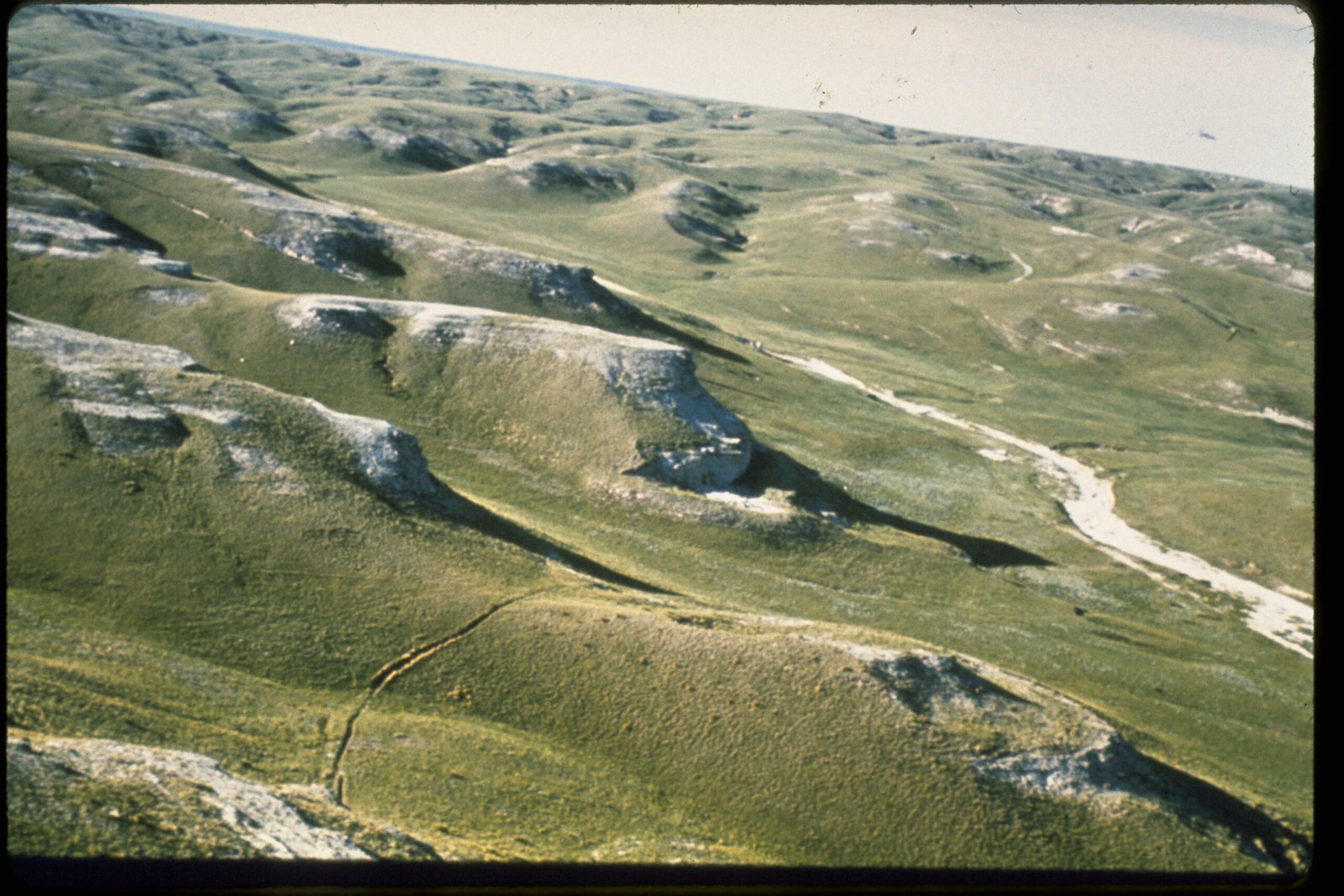 Fossils and Ancient Environments: Reconstructing Lost Worlds (image credits: wikimedia)