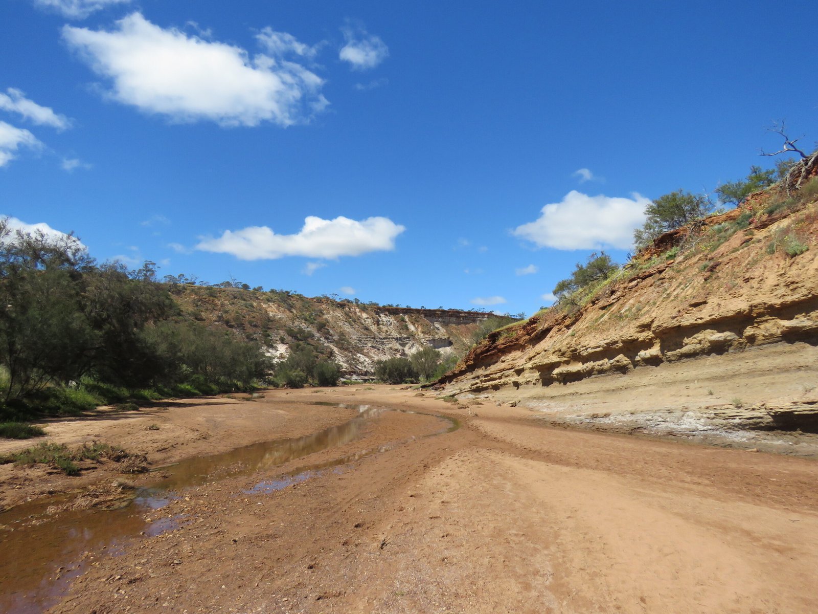 Conservation Challenges: Fossils at Risk (image credits: wikimedia)