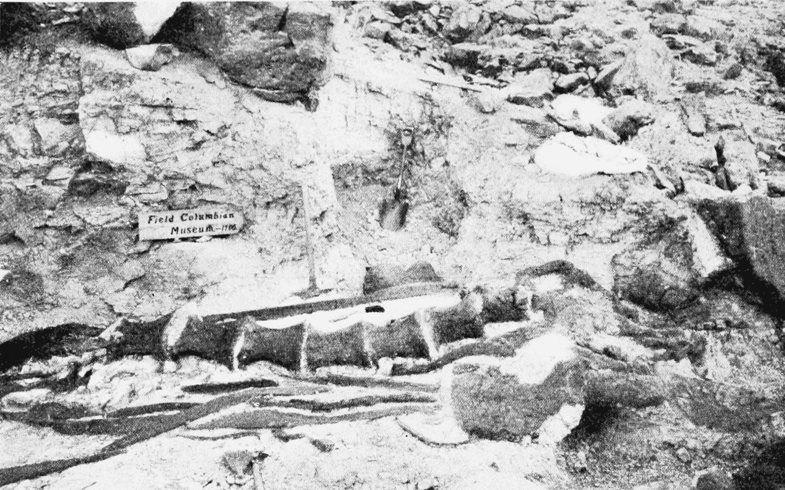 The Ongoing Quest: What Remains to Be Discovered? (image credits: wikimedia)