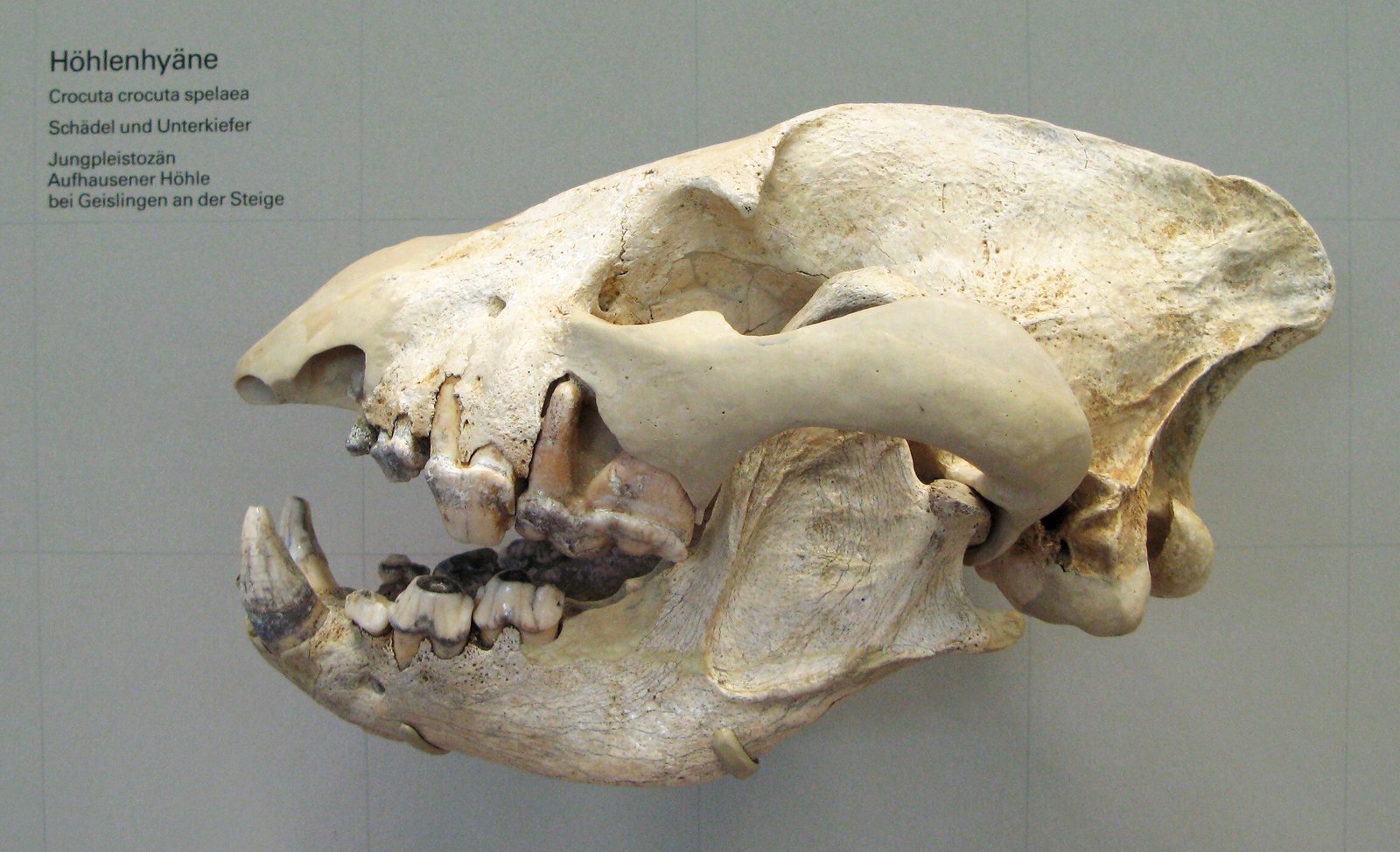 What the Past Tells Us About the Future (image credits: wikimedia)