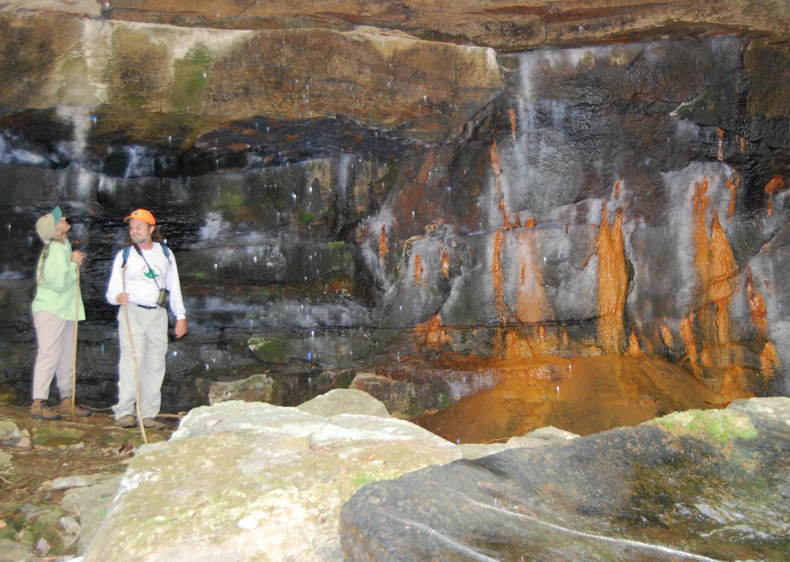 Iron-Eating Microbes: Rusting Away the Ice Base (image credits: wikimedia)