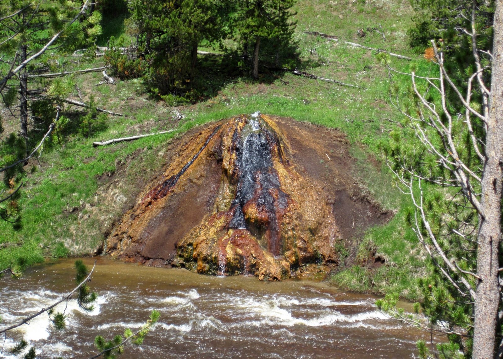 Biofilms: Microbial Cities on the Move (image credits: wikimedia)