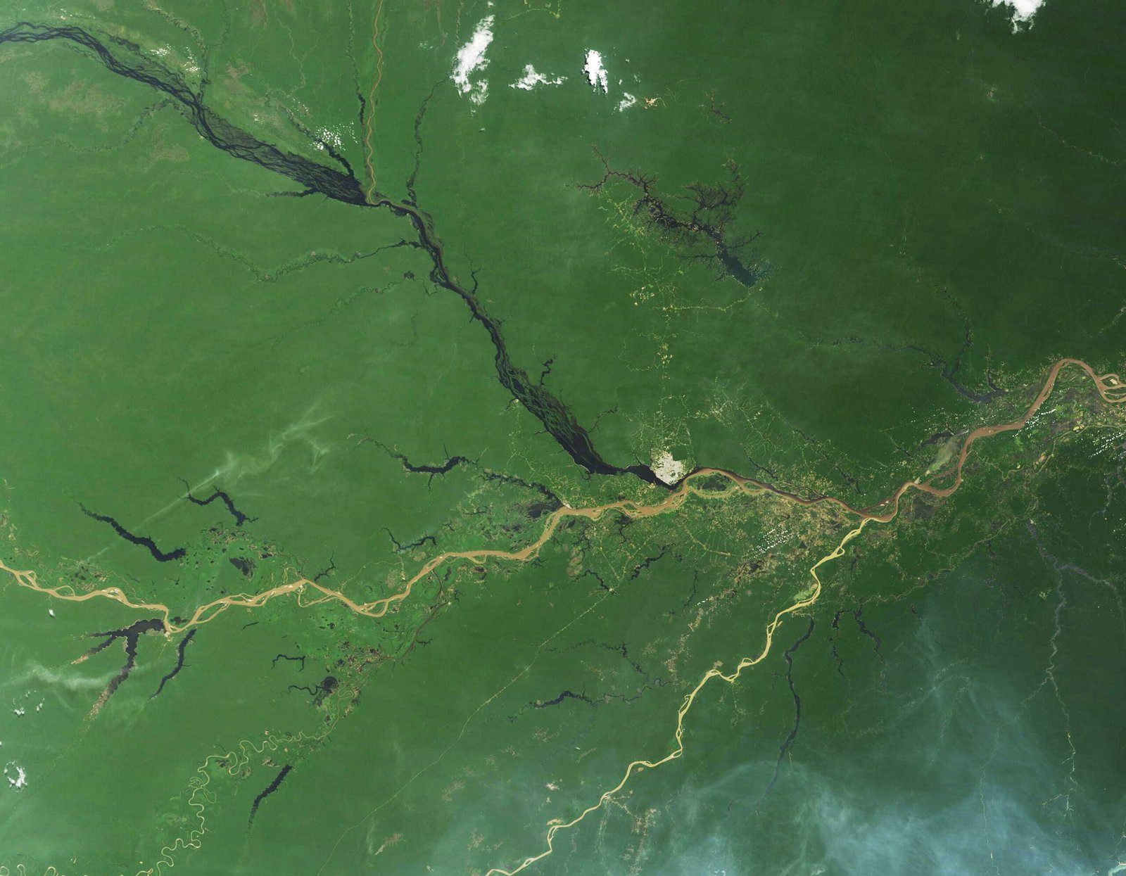 Rainfall: The Amazon’s Lifeblood (image credits: wikimedia)