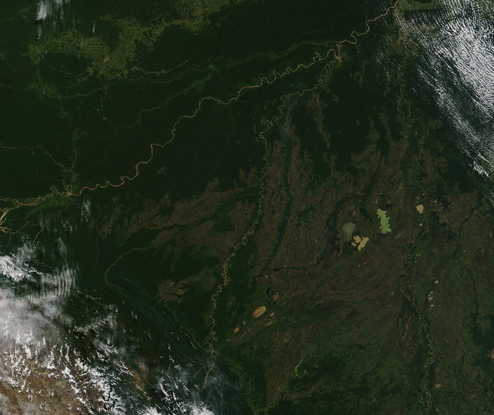 Biodiversity on the Brink (image credits: wikimedia)