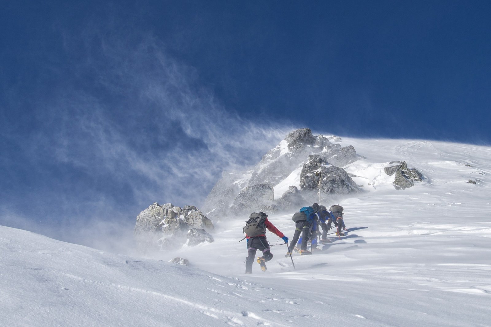 Nutritional Needs: Fueling the Ascent (image credits: wikimedia)