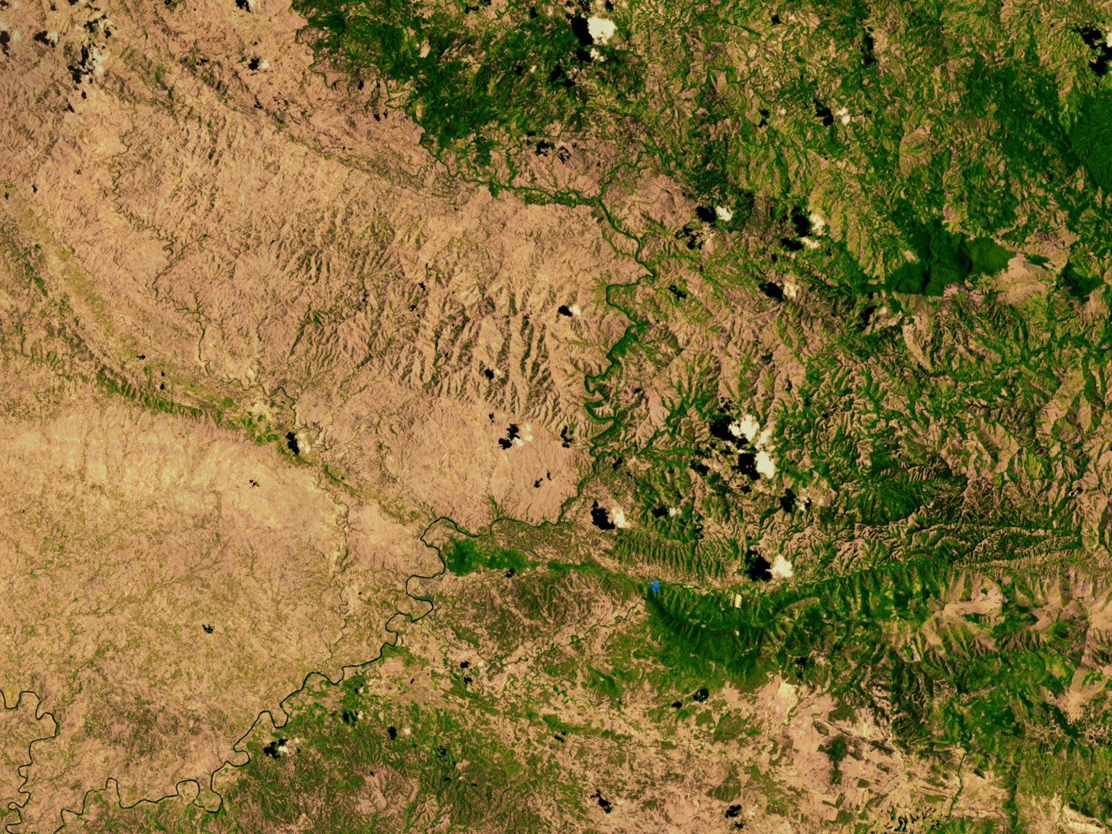 Climate Change, Deforestation, and the Race Against Time (image credits: wikimedia)