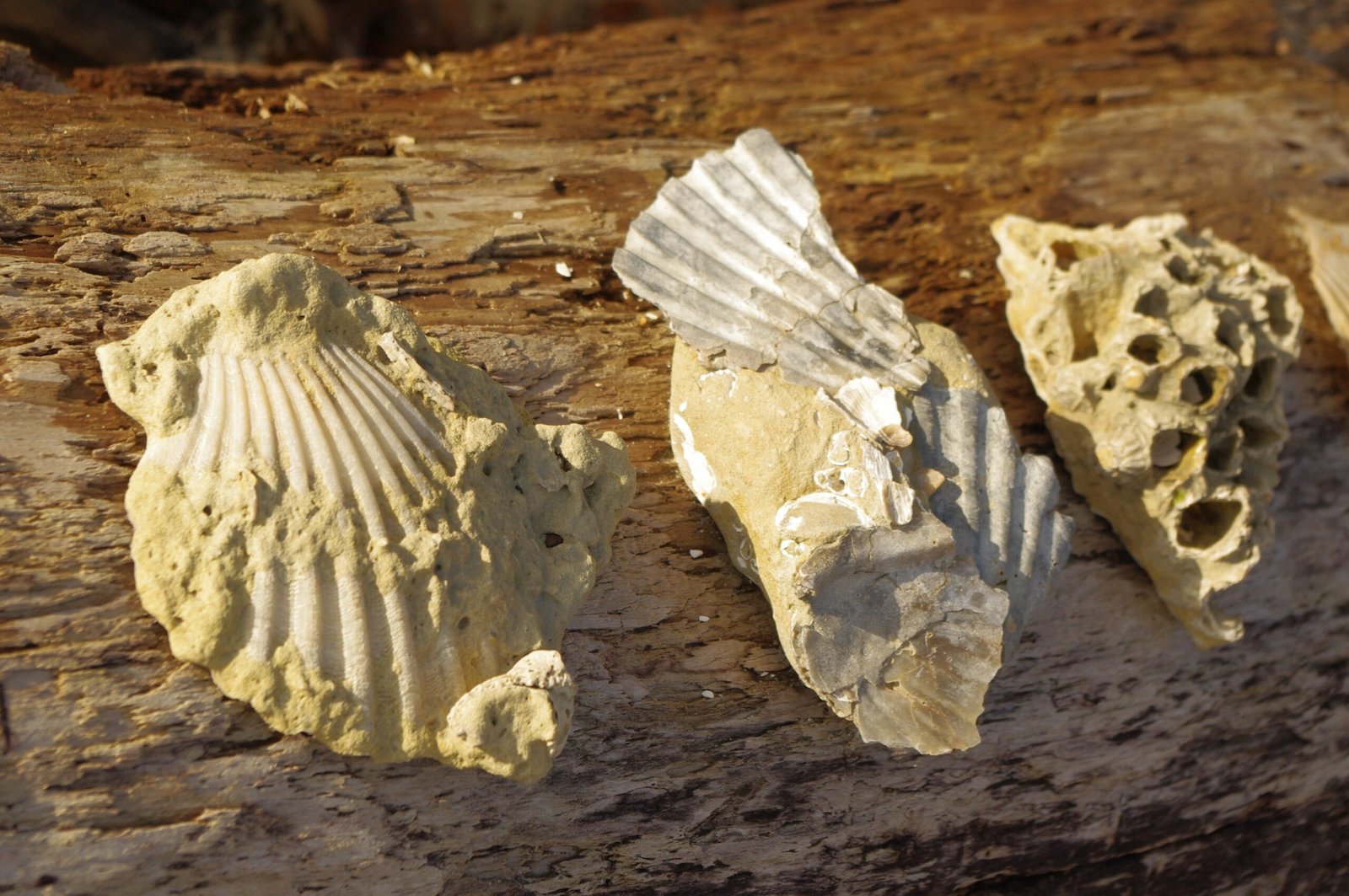 Rivers as Keepers and Destroyers (image credits: wikimedia)