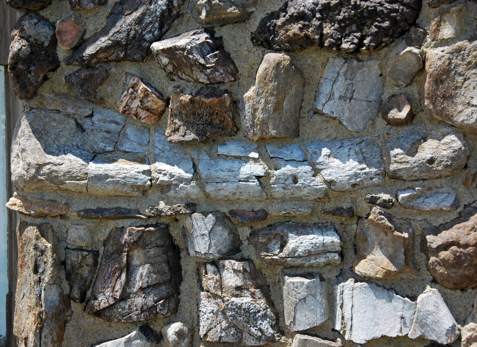 Why Fossils Matter: Lessons from Extinction (image credits: wikimedia)