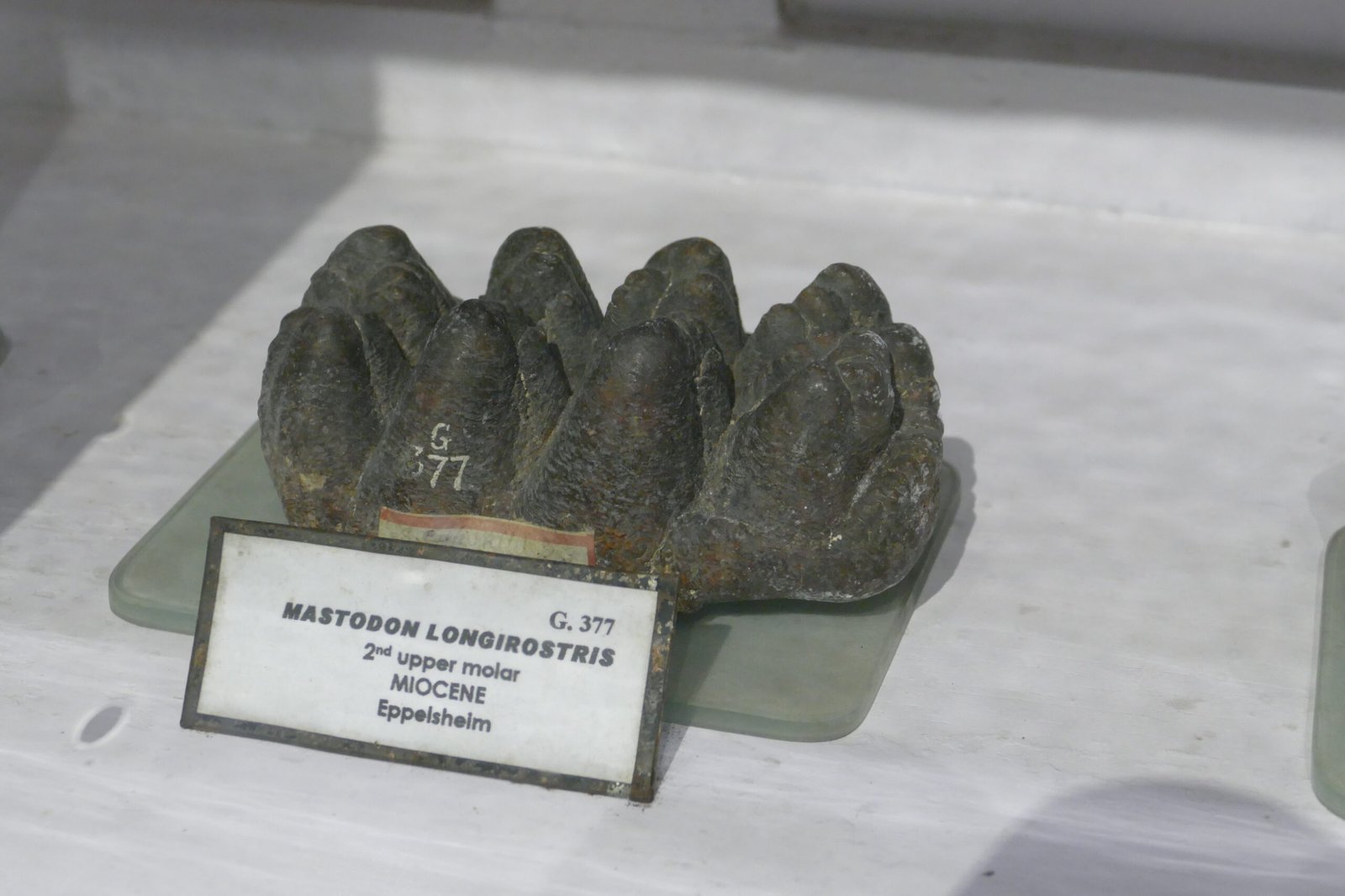 The Role of Museums and Education (image credits: wikimedia)