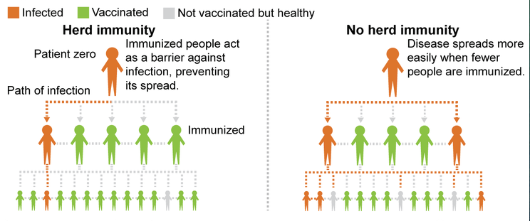 The Power of Herd Immunity (image credits: wikimedia)