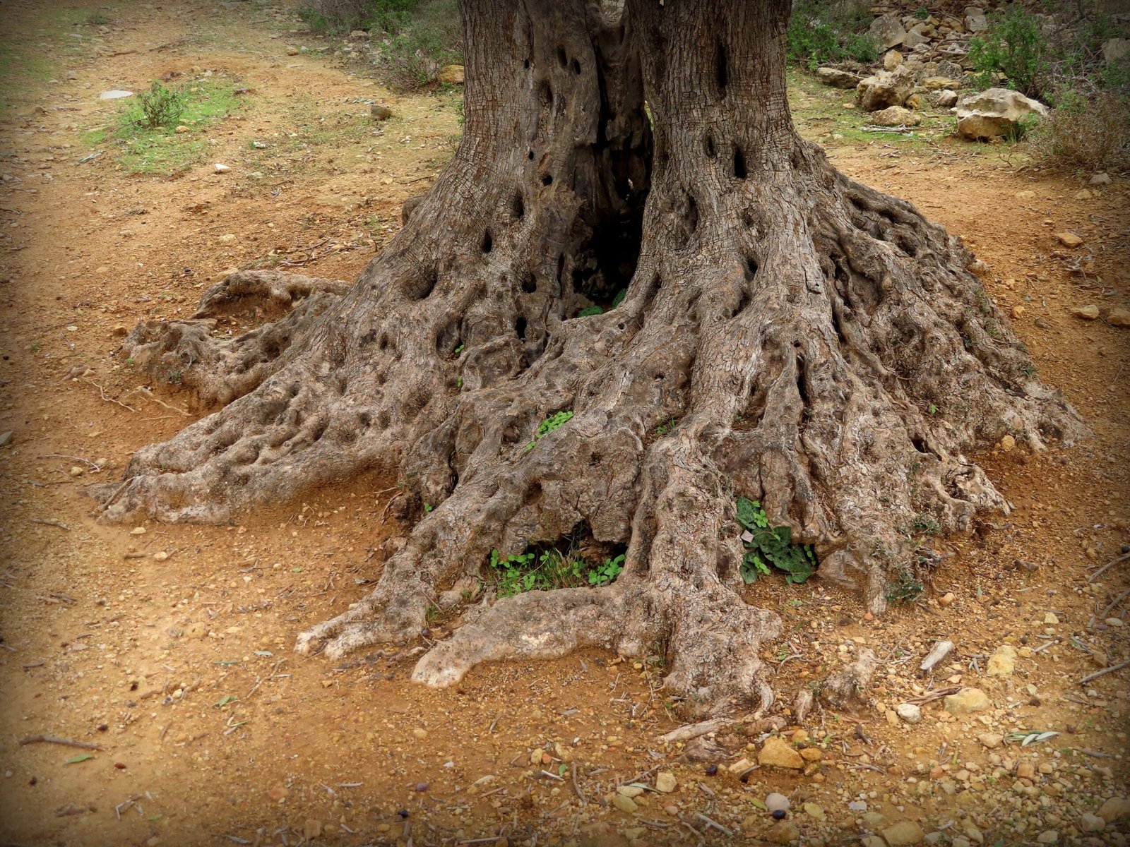 Modern Science Meets Ancient Wisdom (image credits: wikimedia)