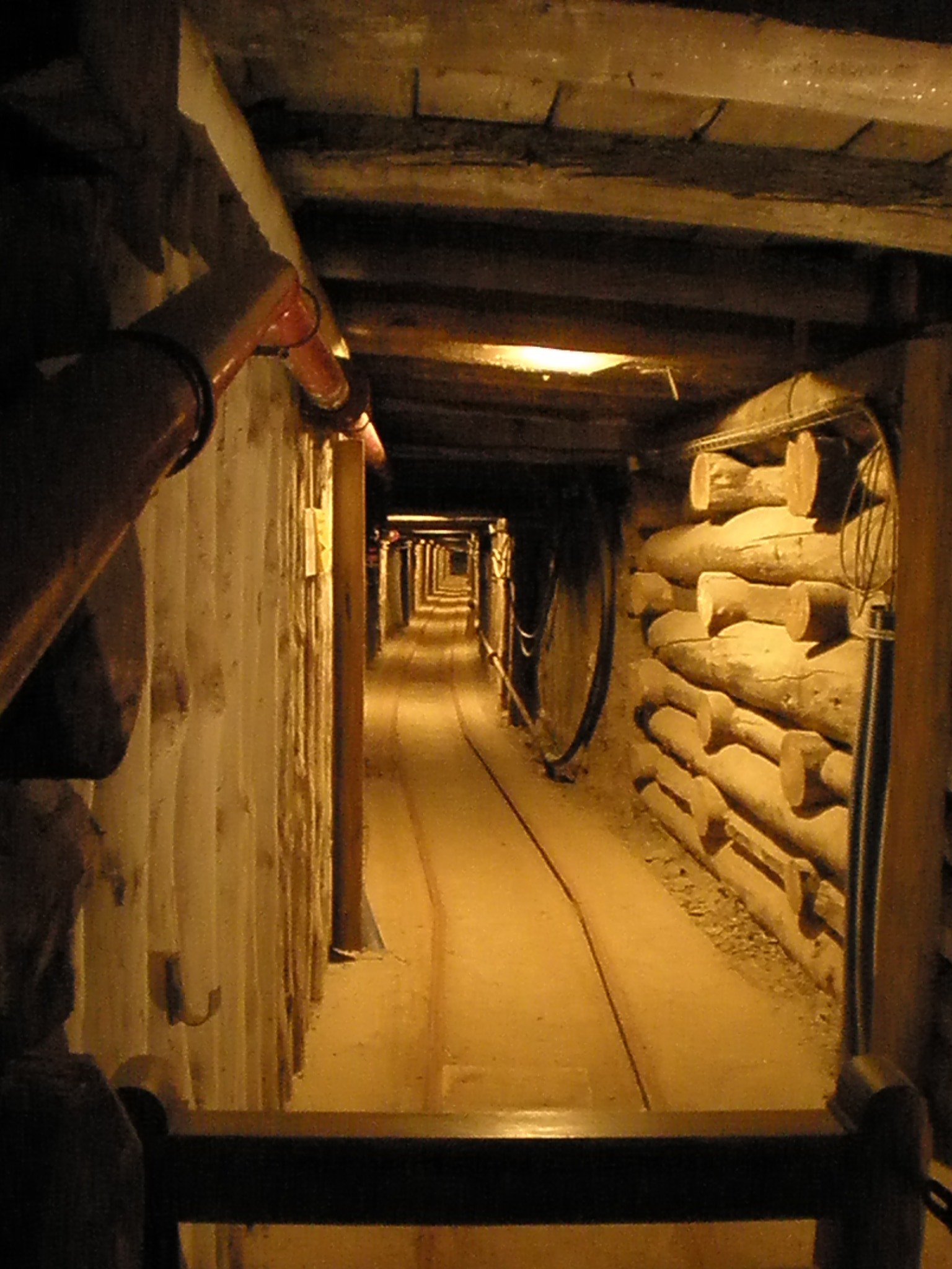 Millennia of Human Digging: A Chronicle of Labor and Ingenuity (image credits: wikimedia)