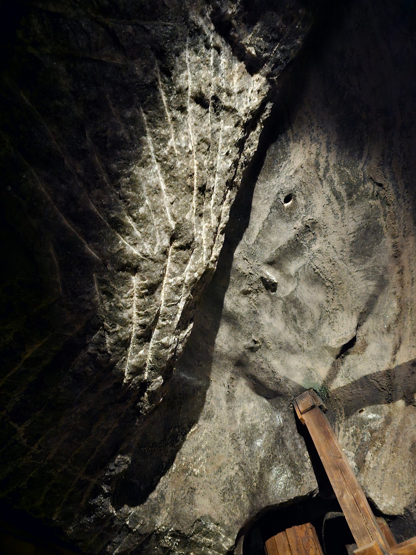 Subterranean Life: The Daily Grind Below Ground (image credits: wikimedia)