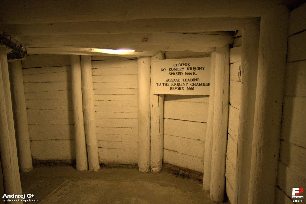 Preserving the Past: Restoration and Conservation Efforts (image credits: wikimedia)