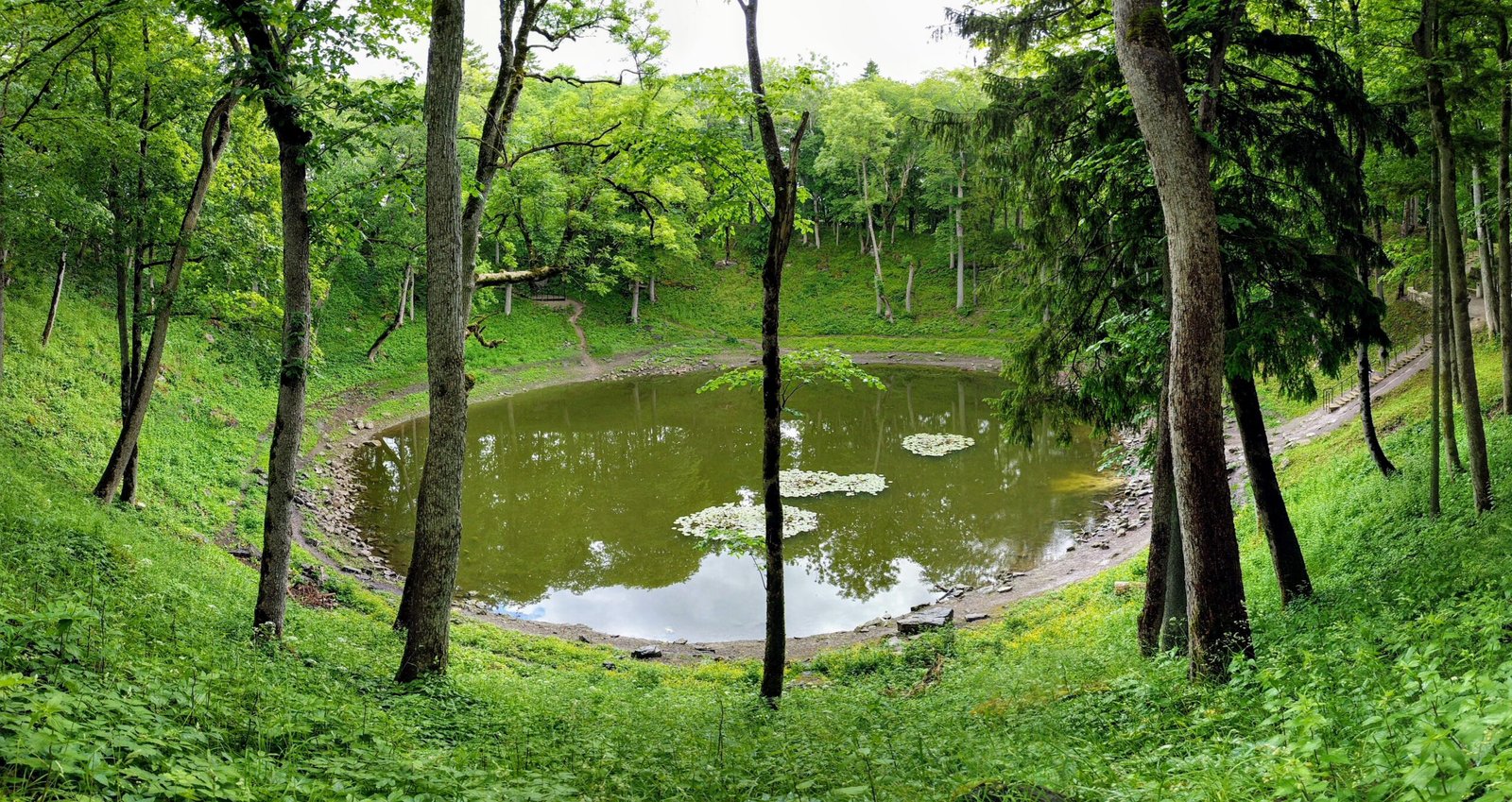 Lessons From the Past: Adapting and Surviving (image credits: wikimedia)