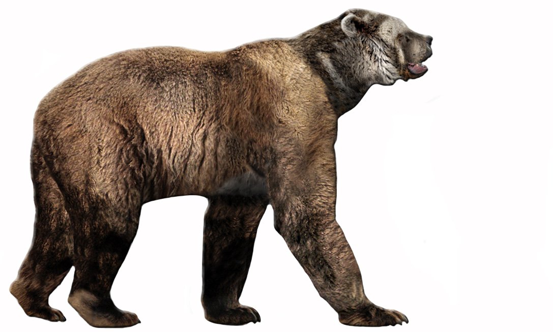 Short-Faced Bears: The Giants Nobody Talks About (image credits: wikimedia)