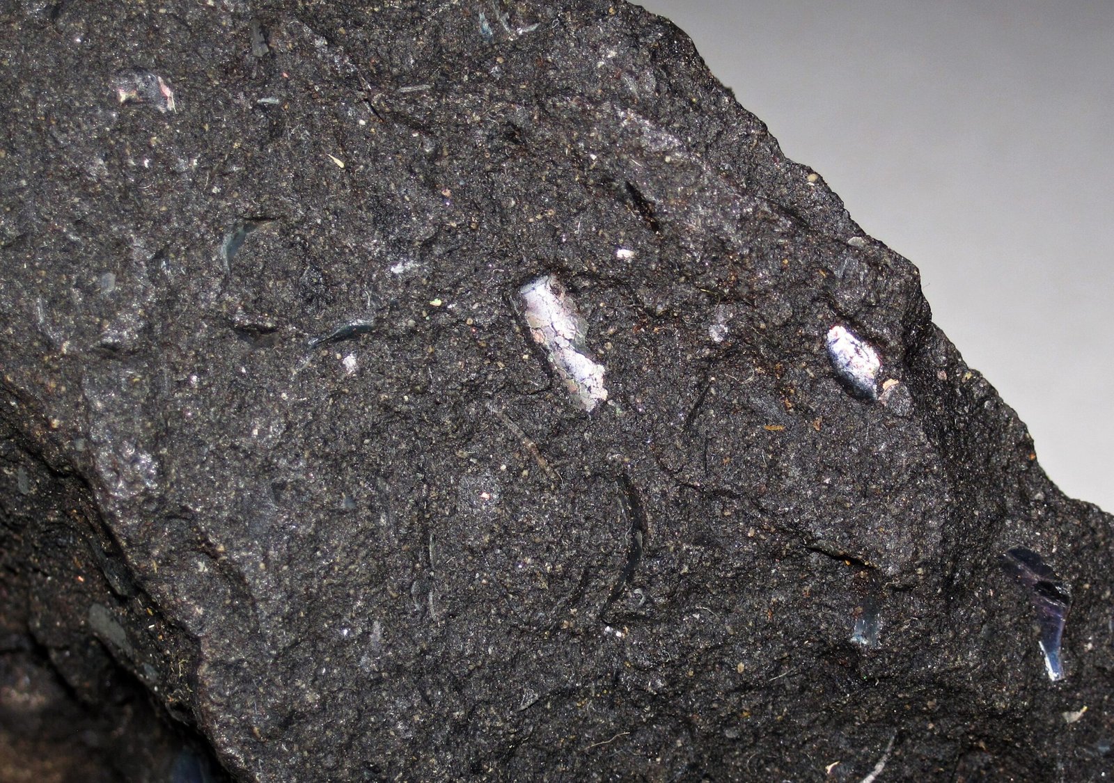 The Permafrost Threat: Ancient Beasts at Risk (image credits: wikimedia)