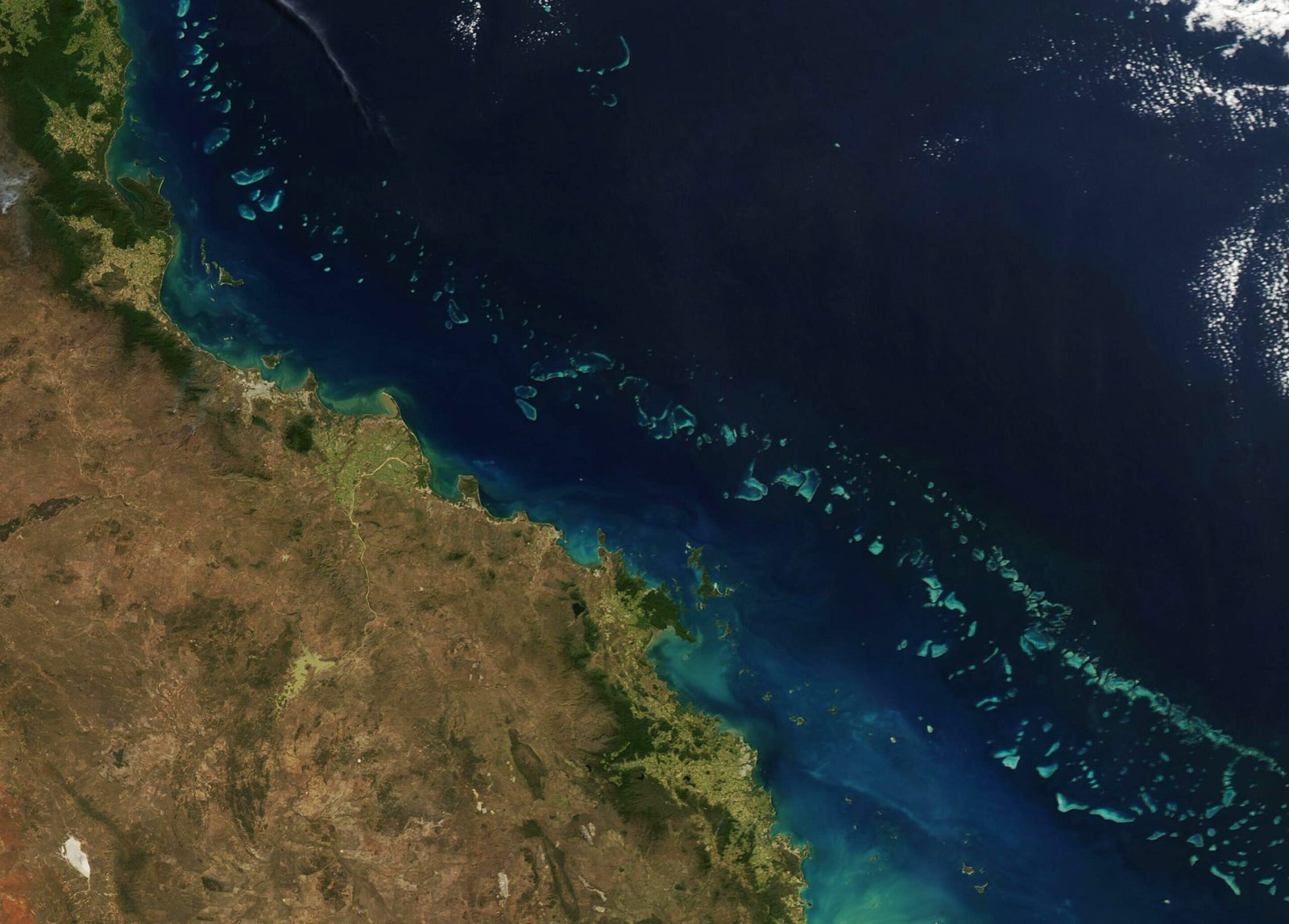 Ocean Acidification: A Slow Poison (image credits: wikimedia)