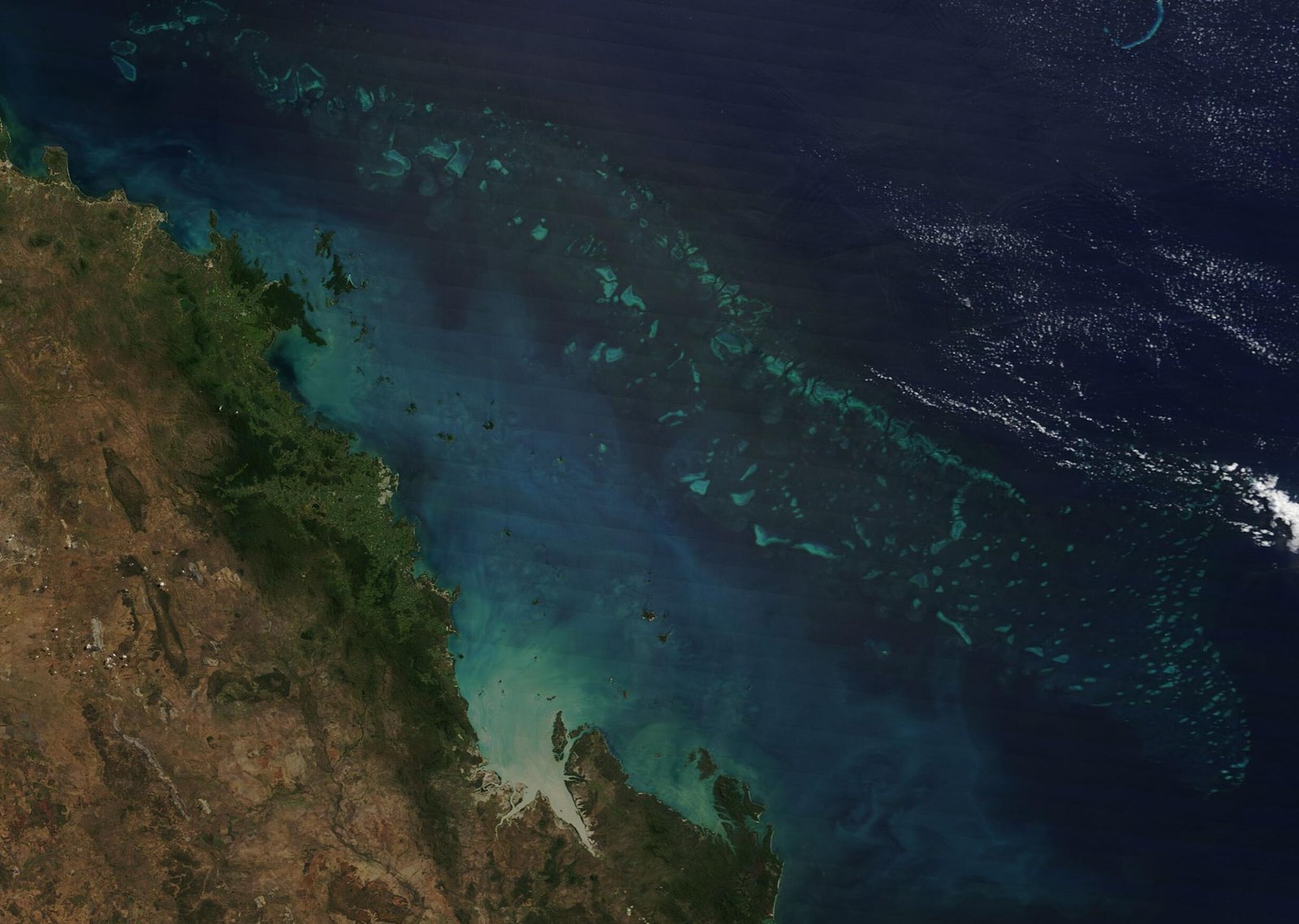 Education and Awareness: Changing Minds (image credits: wikimedia)