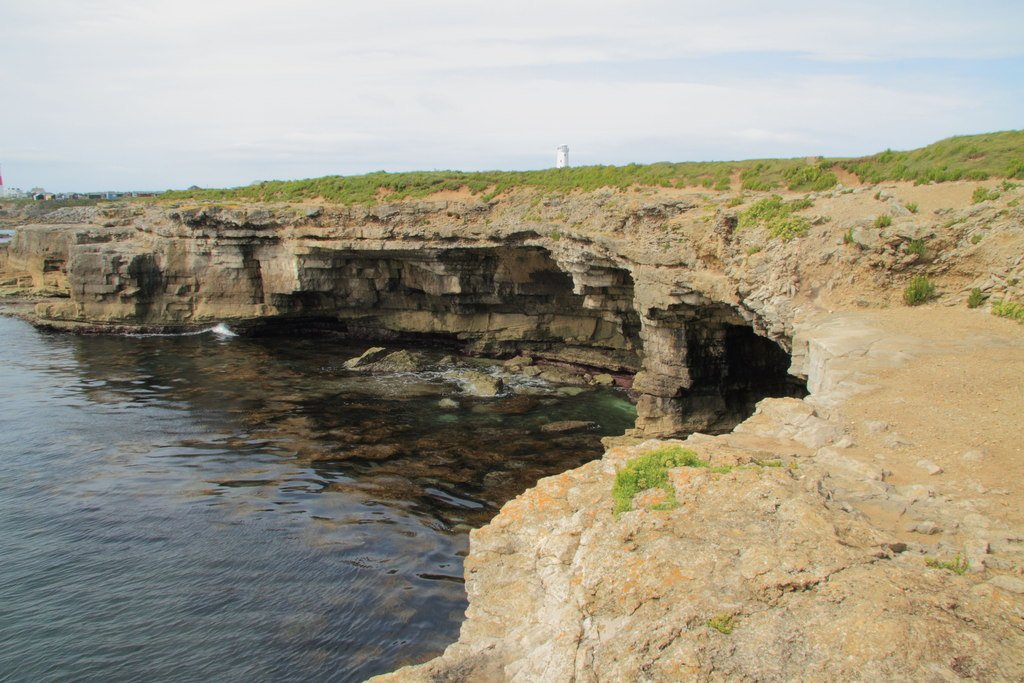 Personal Encounters: Stories from Portland Locals (image credits: wikimedia)