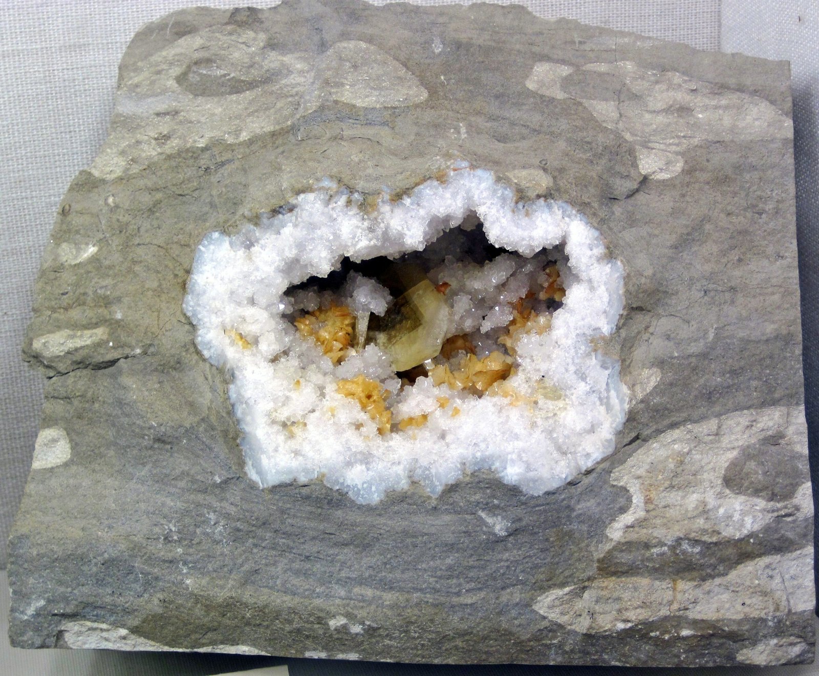 Layers of Time: The Building Blocks of Chicago’s Bedrock (image credits: wikimedia)