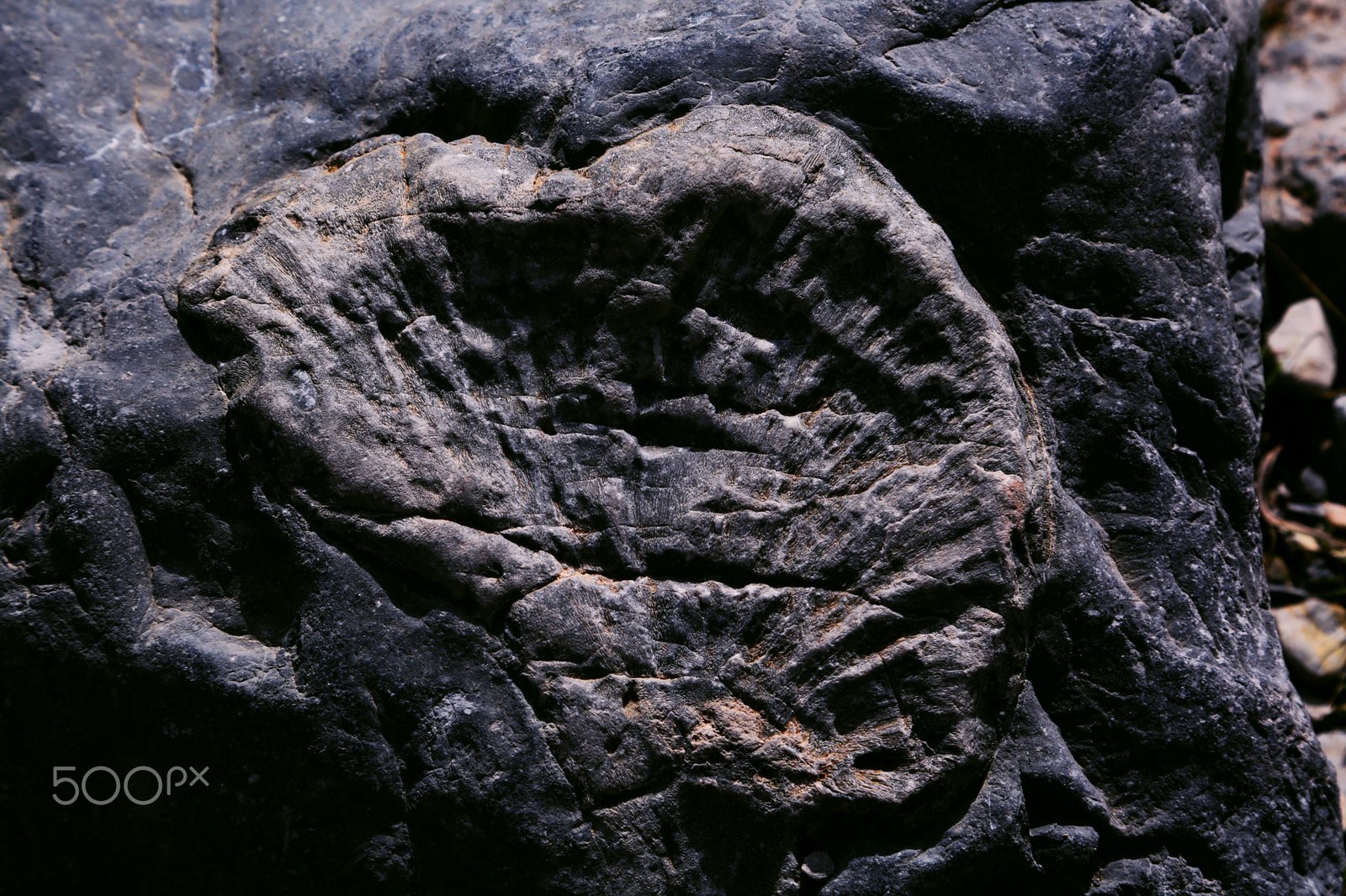 Climate Clues Locked in Stone (image credits: wikimedia)