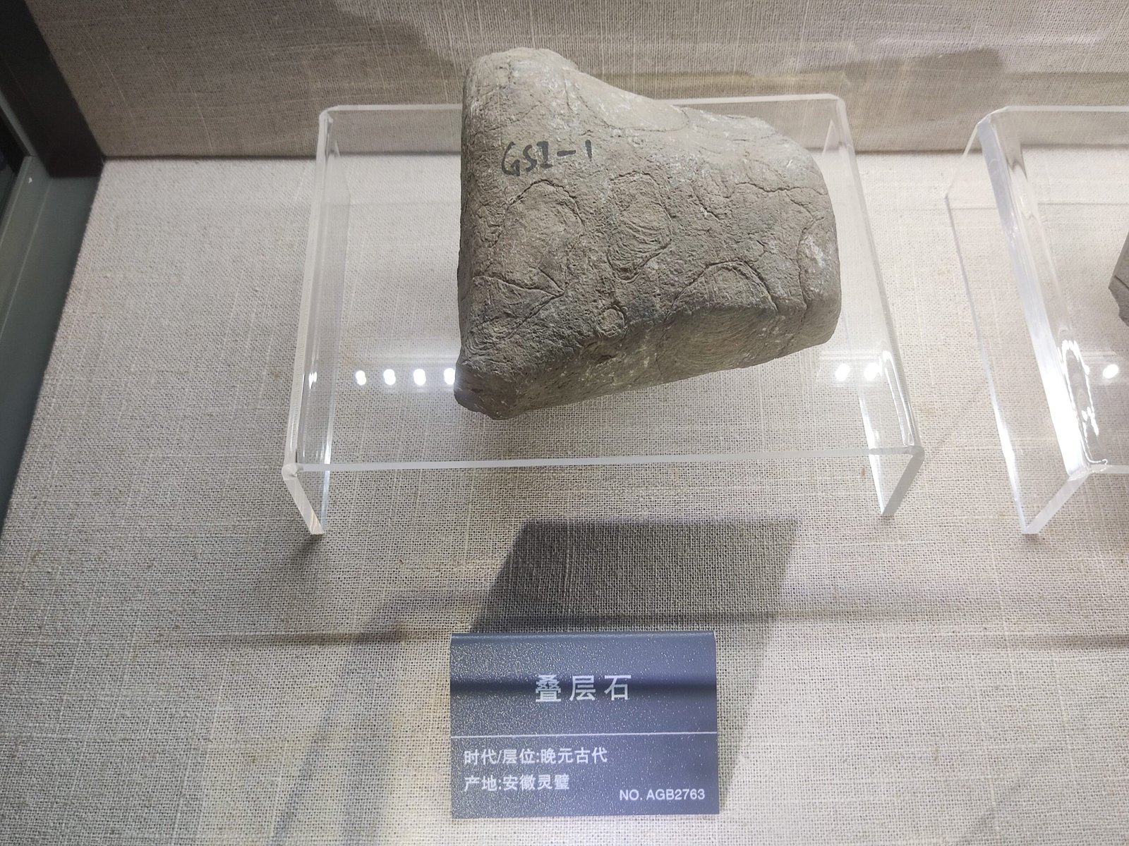 Clues in Ancient Rocks and Fossils (image credits: wikimedia)