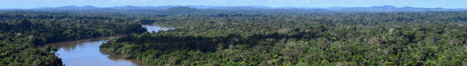 Water Cycles and Rain Patterns (image credits: wikimedia)