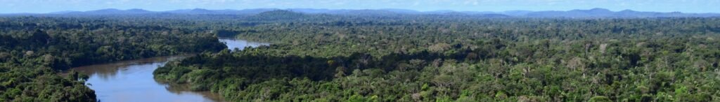 The Amazon Fires Are Not Just Natural — Here’s What’s Really Fueling Them