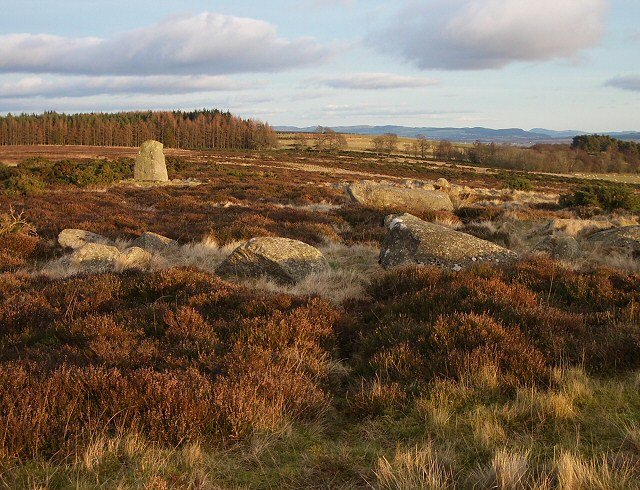 Modern Myths and Urban Legends (image credits: wikimedia)