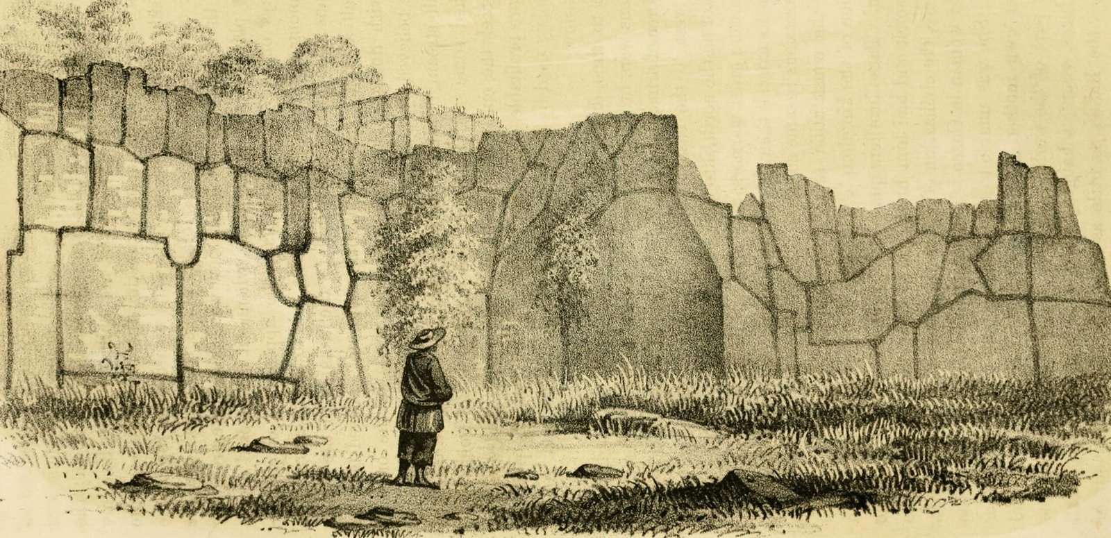 Uncovering Lost Roads and Canals: The Amazon’s Ancient Infrastructure (image credits: wikimedia)