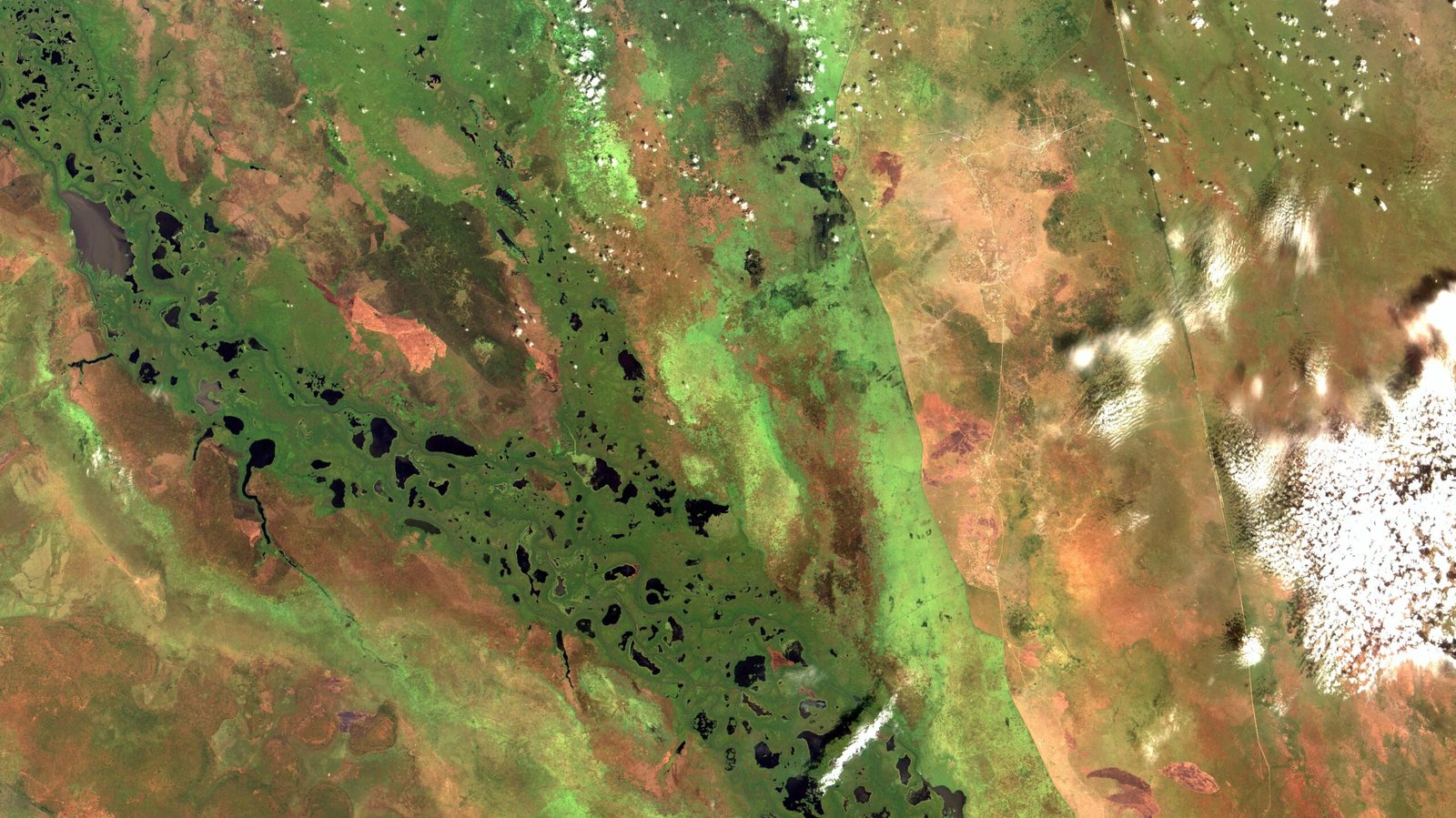 The Puzzle of Terra Preta: Black Earth and Ancient Farming (image credits: wikimedia)