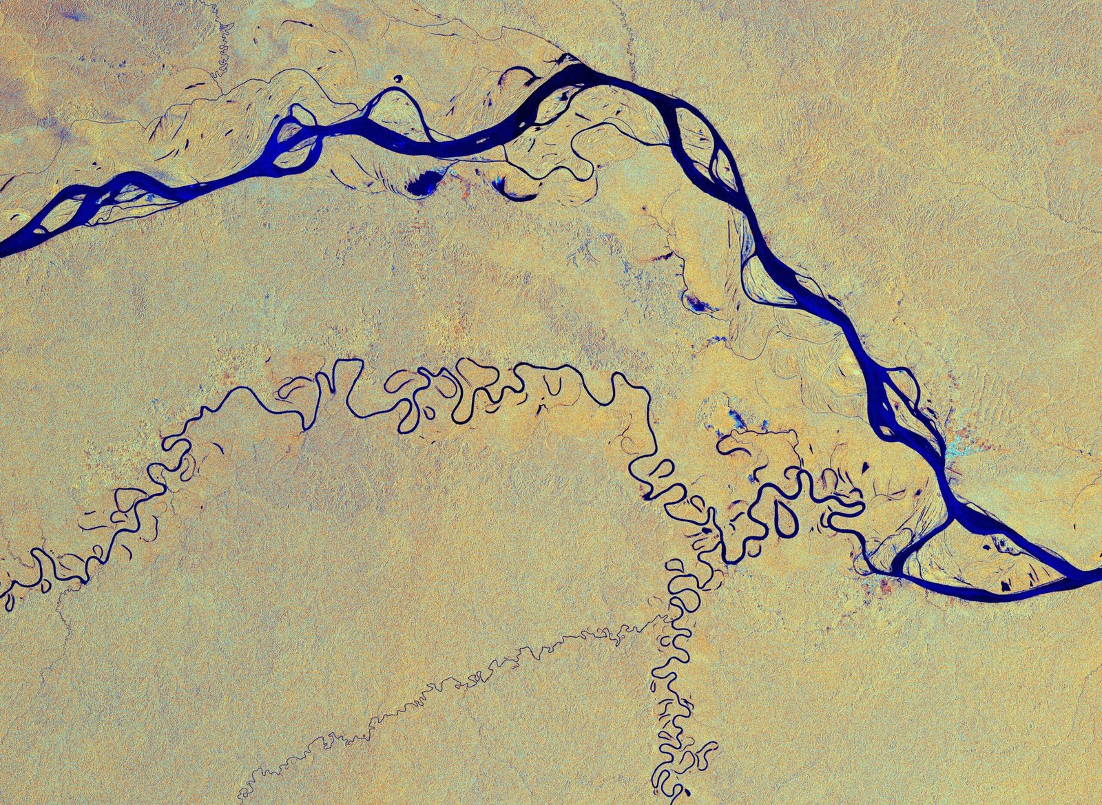 Conservation and the Race Against Time (image credits: wikimedia)