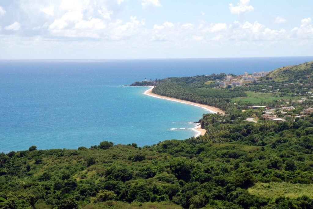The Sunken Forests of Puerto Rico: How Climate and Time Changed a Tropical Coastline