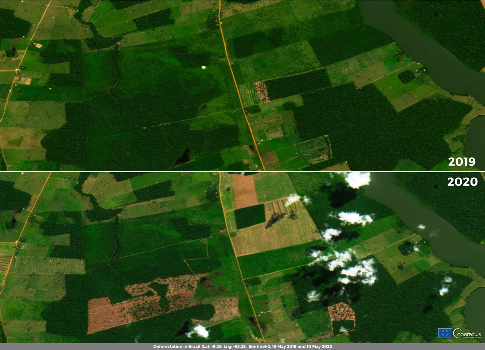 Government Policy: Protector or Predator? (image credits: wikimedia)