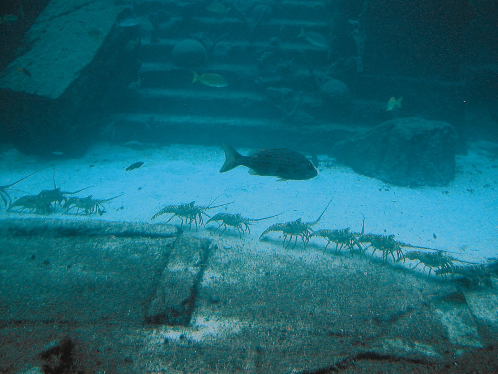 Myth or Memory: Could Atlantis Be Based on Real Events? (image credits: wikimedia)