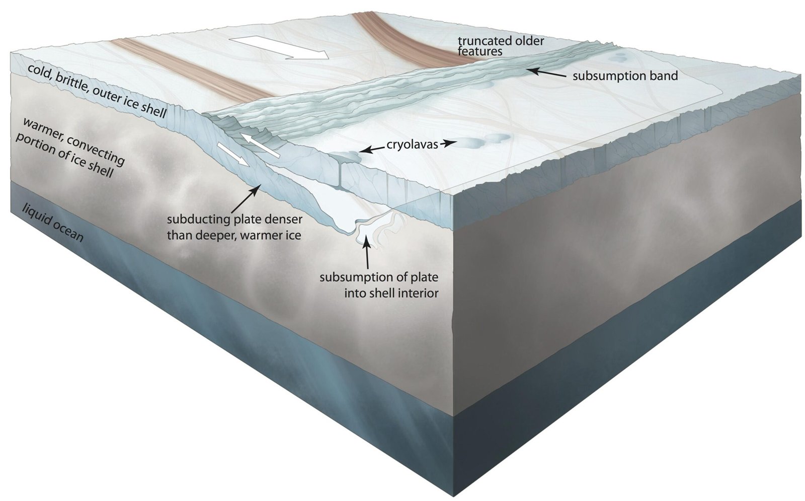 Earth’s Shifting Continents: The Role of Plate Tectonics (image credits: wikimedia)