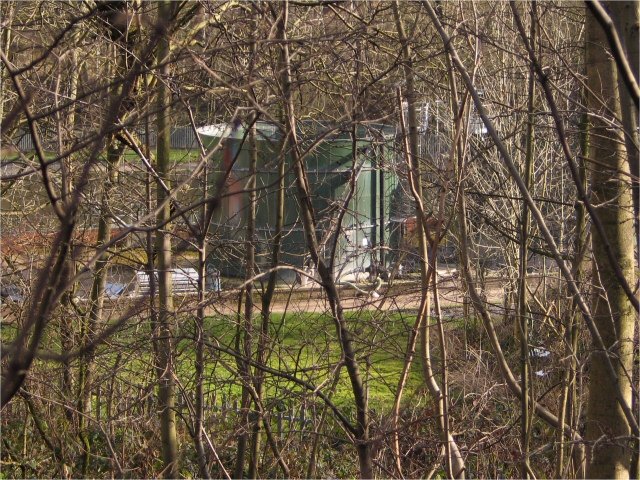 When Mimicry Fails: The Risks of Standing Out (image credits: wikimedia)