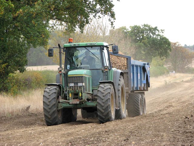 Photosynthesis Powerhouse: How Potatoes Fuel Growth (image credits: wikimedia)