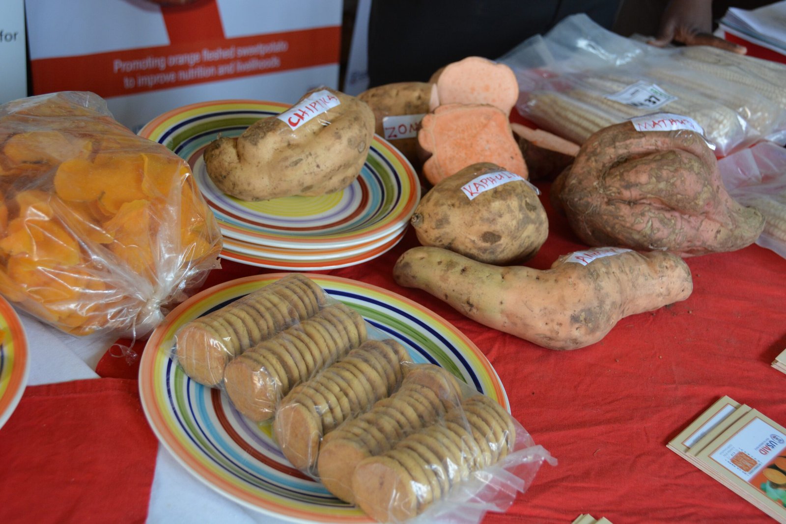 Nutrition in a Tuber: The Potato’s Hidden Power (image credits: wikimedia)