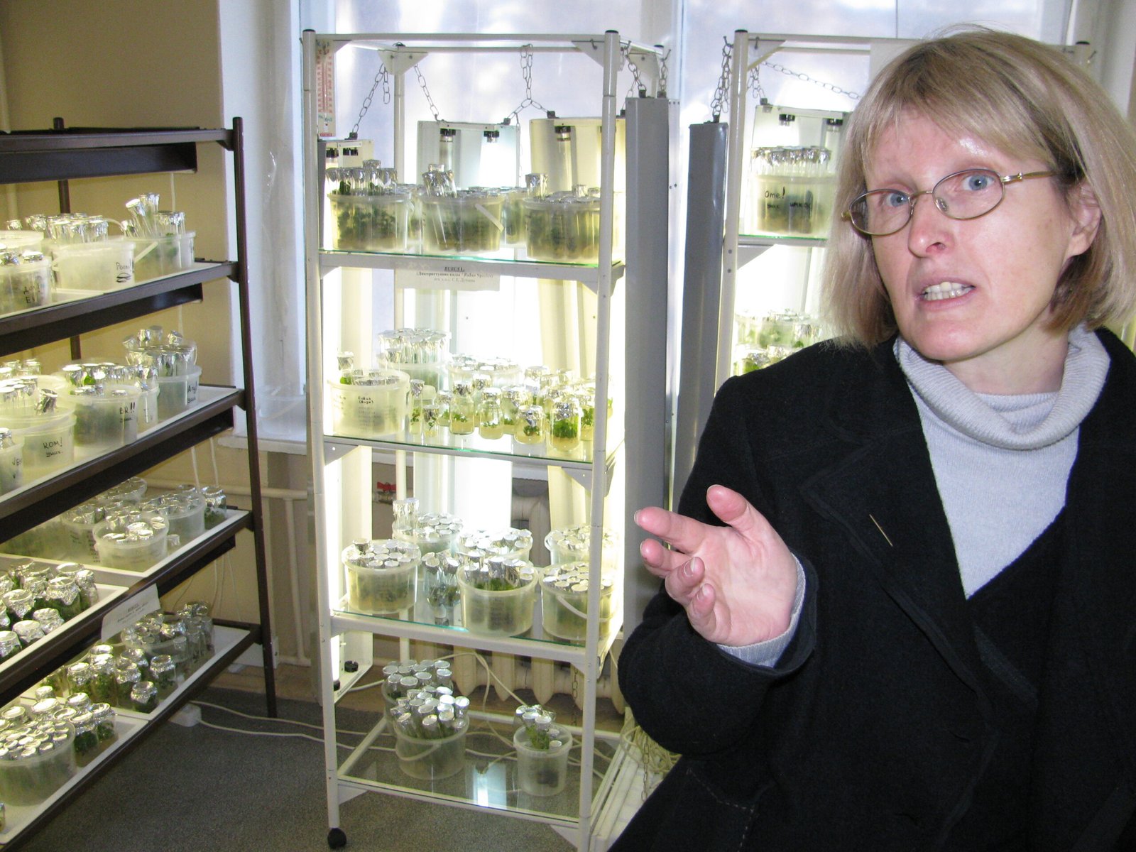 Genetic Engineering and the GMO Debate (image credits: wikimedia)