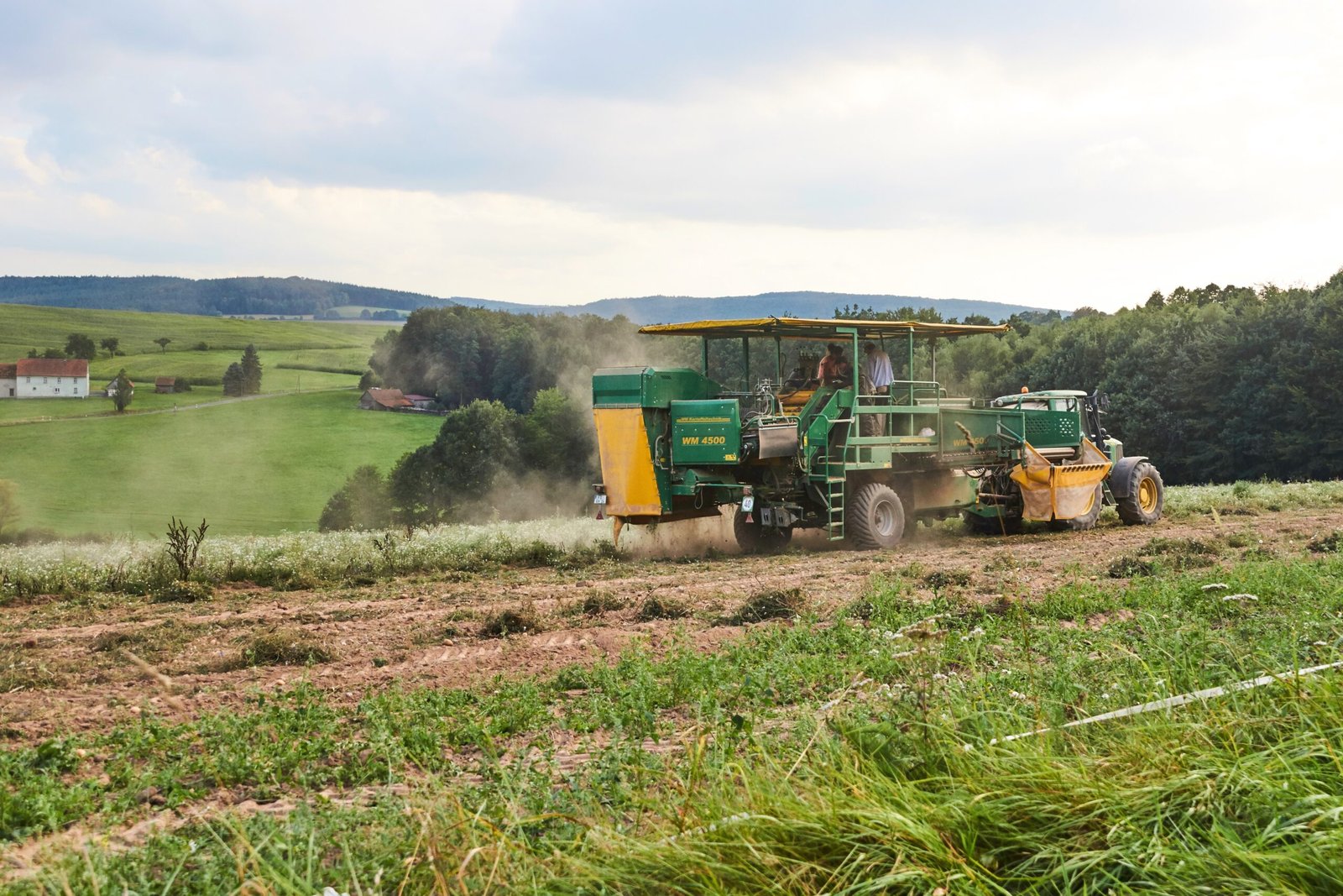 Sustainable Potato Farming: Balancing Yield and Planet (image credits: wikimedia)