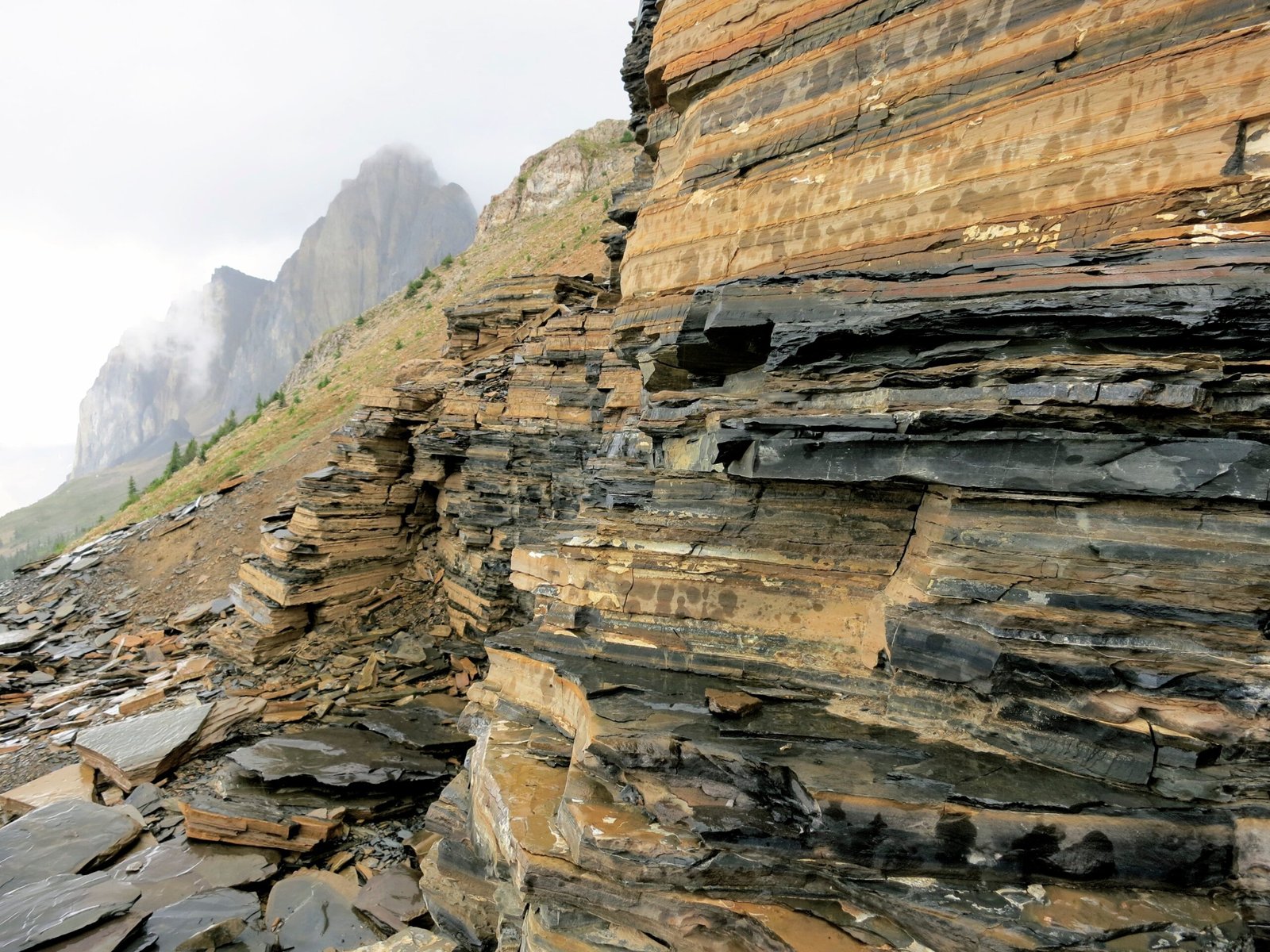 Charles Doolittle Walcott: The Man Behind the Discovery (image credits: wikimedia)