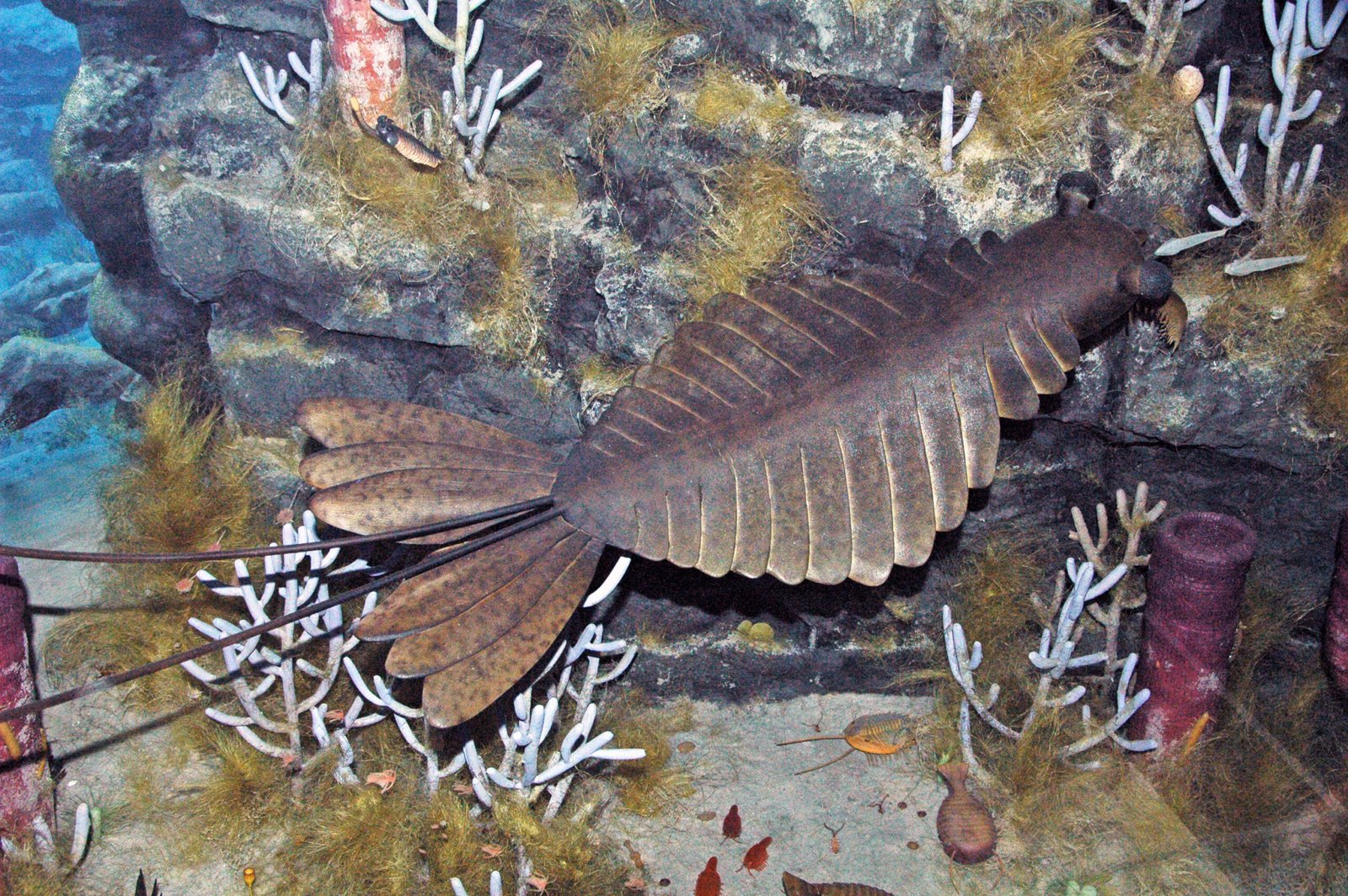 A Gallery of Prehistoric Oddities (image credits: wikimedia)