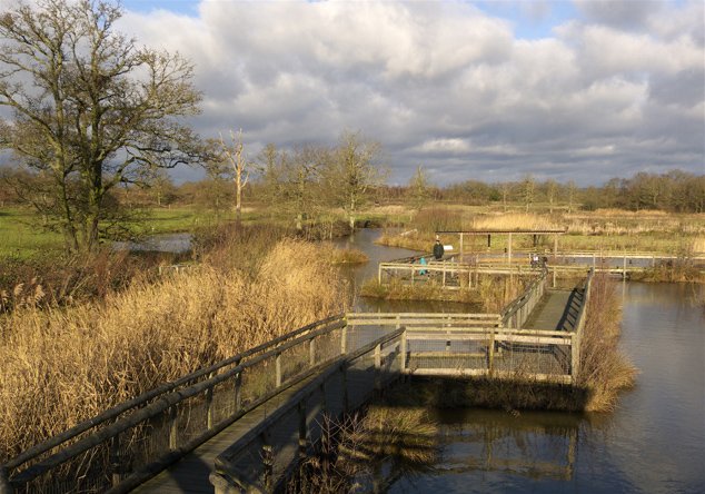 Regulation and Red Tape: The Legal Labyrinth (image credits: wikimedia)