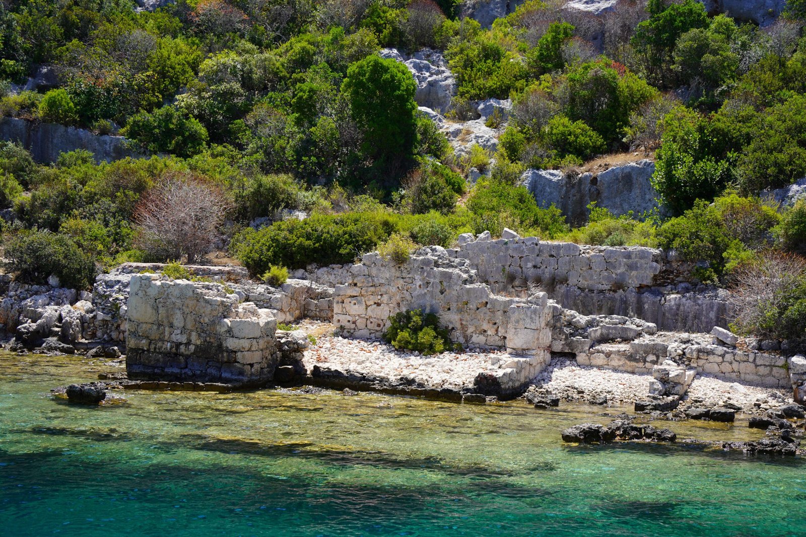 The Discovery That Stunned The World (image credits: wikimedia)