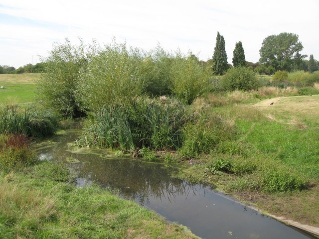 The Quaggy: Lewisham’s Muddy Memory (image credits: wikimedia)