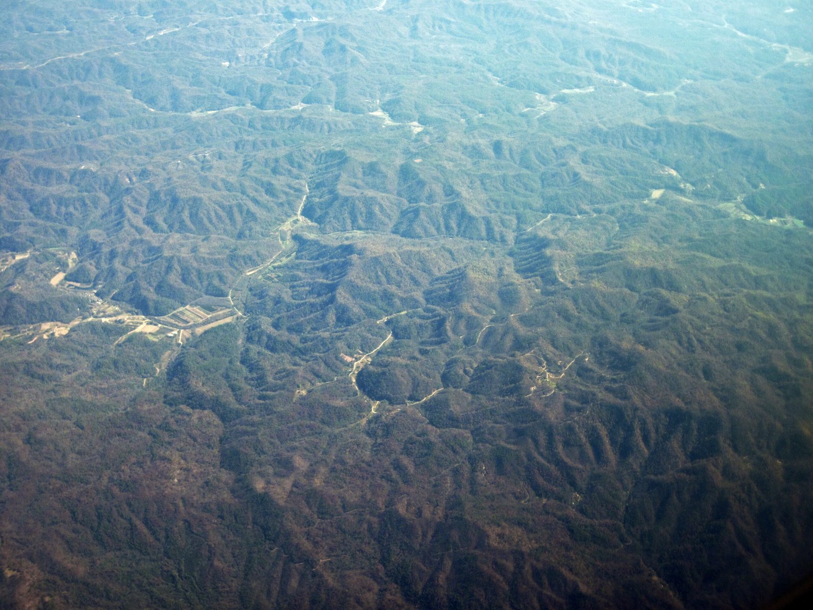 The Devonian Period: Dawn of the Forests (image credits: wikimedia)